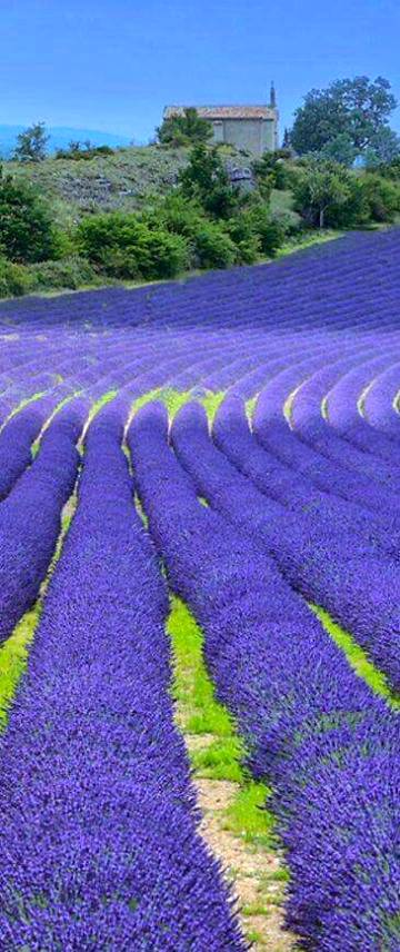 Beautiful view