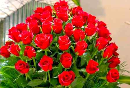 i like this flowers