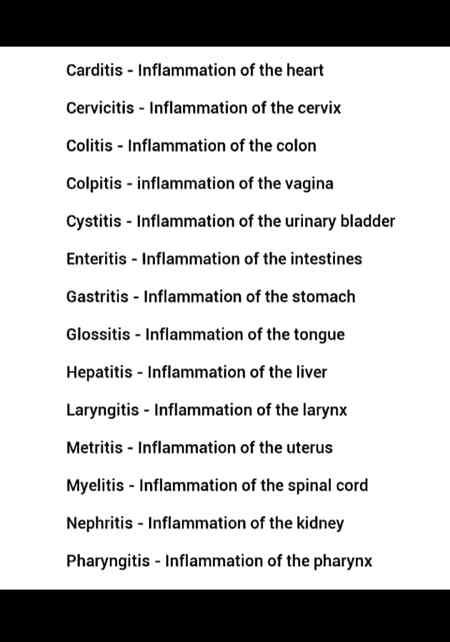 Important medical terms