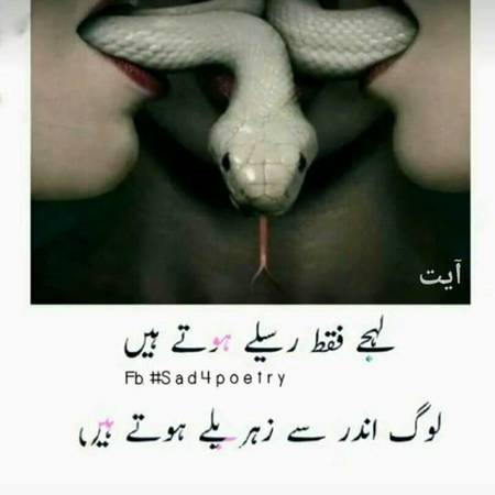 لہجے فقط رسیلے ہوتے ہیں
لوگ اندر سے زہریلے ہوتے ہیں