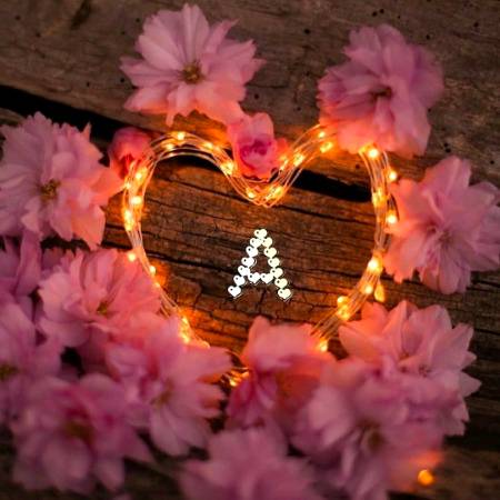 Jin Flowers ka A sy Name Hy Unk liye 😎😘🥰