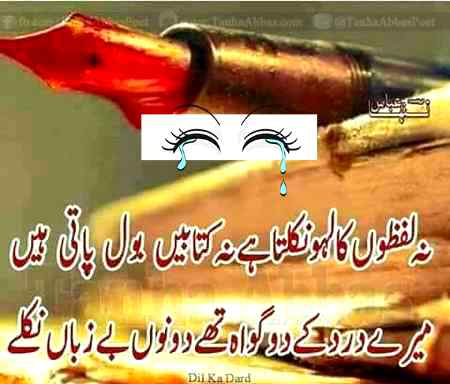 🌹⚘🥀🌹🥀⚘🦚🌹⚘🥀🦚🌹⚘⚘🦚