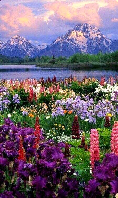 Beautiful.. Like to banta hy