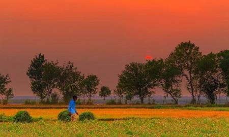 Rural areas near Punjab river