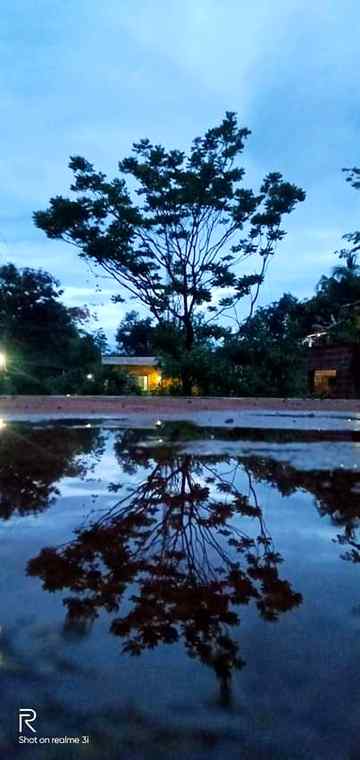 Wonderful. ..