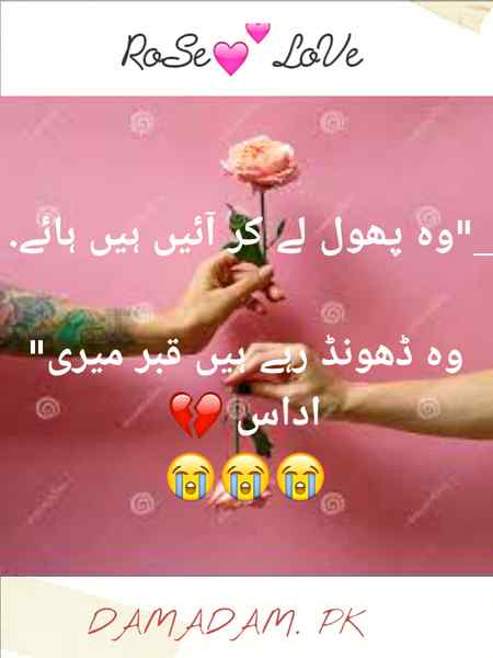 💕🌹💕🌹💕🌹RoSe LoVe🌹💕🌹💕🌹