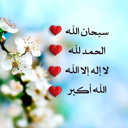 _*اللہ ڪا ذڪر منافق پہ بھاری ھوتا
اگر آپ اپنی زبان ڪو اللہ ڪے ذڪر سے تر رڪھتے ھیں تو آپڪا ھر ڪام بہت آسان ھوتا جائے  گا . اور ہر دعا قبول ہو جائے گی .