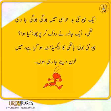 ❤️🐘 and🐜❤️