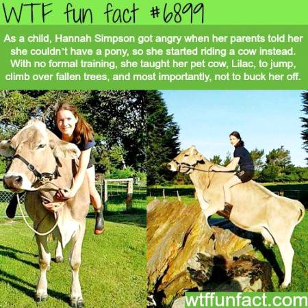 WTF fun fact