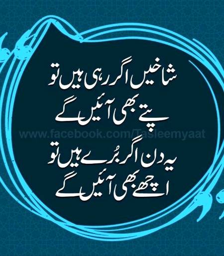 🌹🌹🌹صلی اللہ علی حبیبہ محمد نور من نوراللہ وعلی آلہ واہل بیتہ وعترتہ وازواجہ وصحبہ وجدہ وذریتہ و کل امتہ وبارک وسلم کثیراً کثیرا و دائماً ابدا 🌹🌹🌹