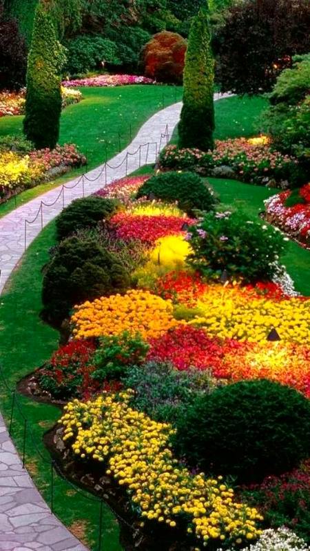 Beautiful park