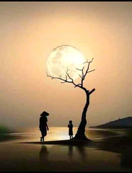 مجھے گرتے ہوۓ پتوں نے سمجھایا ہے...!!

بوجھ بن جاو گے اپنے بھی گرا دیں گے ...!!