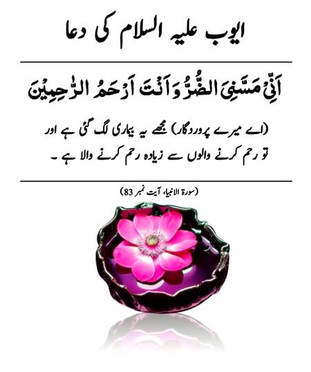 ایوب علیہ اسلام کی دعا