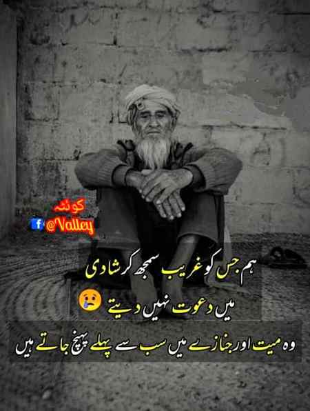 .q1 everyone