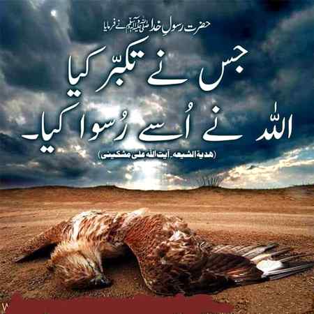 Sending by fareed ahmed shaikh beshak