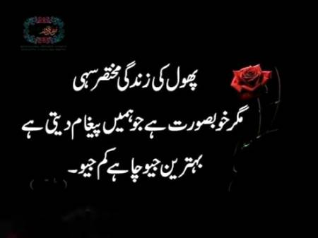 Awesome Line..