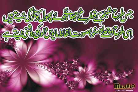 Shabnum k Qatry