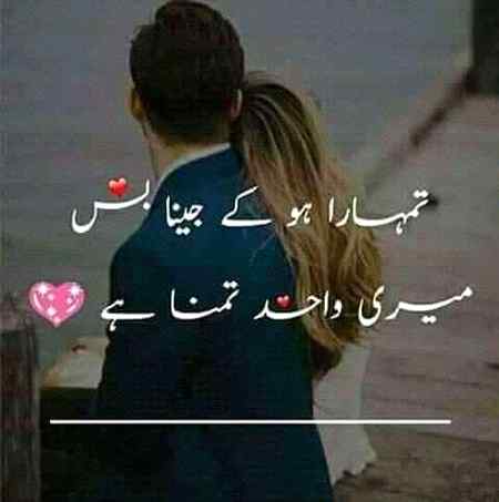 🍀🌹🌺TeRe LiYe🌺🌹🍀