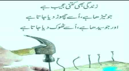 Hlo friends