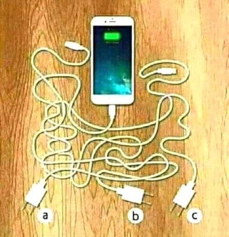 WHICH ONE IS...🤔