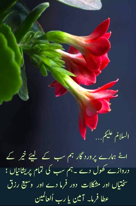 ﷽
اَلسَلامُ عَلَيْكُم وَرَحْمَةُ اَللهِ وَبَرَكاتُهُ