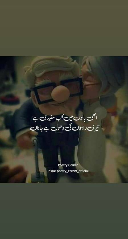 Teri Rahon Ki Dhool Hay Janaaa