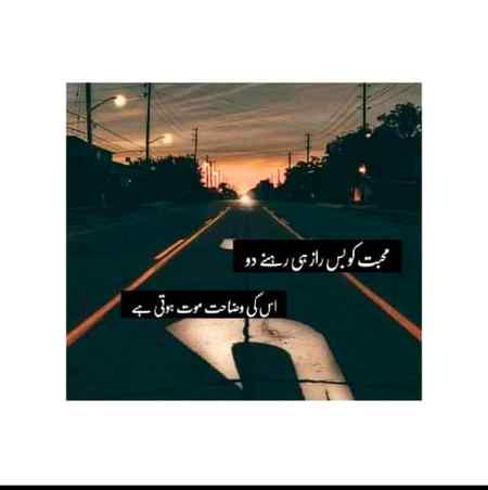 🍁Zoq_Shab🍁