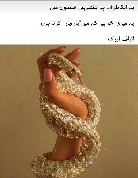 😕یہ انکا ظرف ہے کہ بیٹھے ہیں آستینوں میں😊