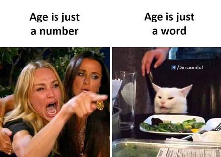 Cat is always right...