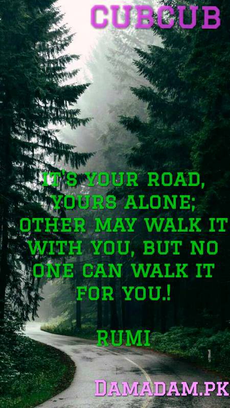 Rumi's words