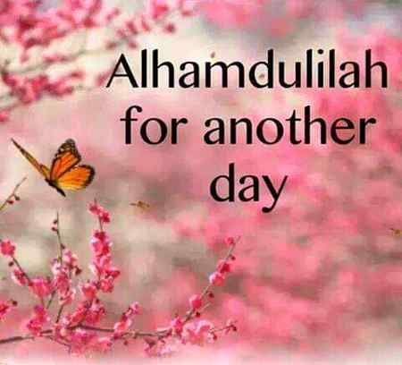 الحمداللہ ایک اور روزہ کی سعادت کے لیے۔❤❤❤❤👍