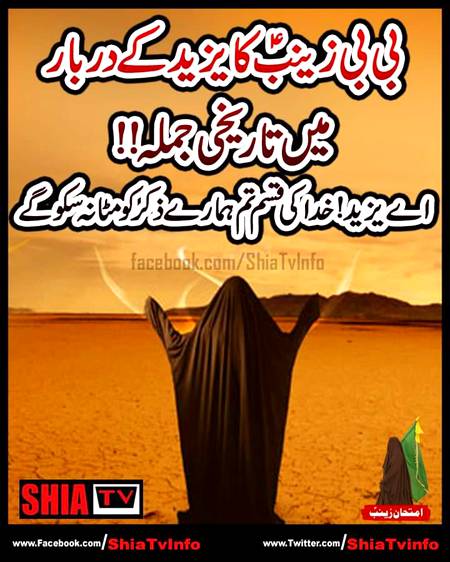 بی بی زینب کا یزید کا کے دربار میں تاریخی جملہ!!