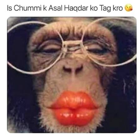 DD ke sb boys 👿👿 mere elawa 😩😩