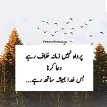 Sending by fareed ahmed shaikh