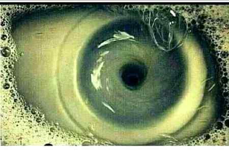 If you tell me what is it,I will follow you👍