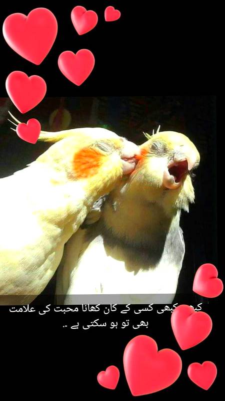 😍🤗❤bilkuL❤🤗😍