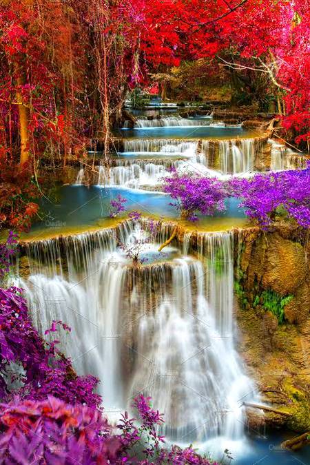 Beauty of nature
