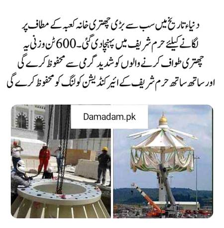 دنیا کی تاریخ میں سب سے بڑی چھتری