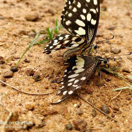 How romantic na🙈😋