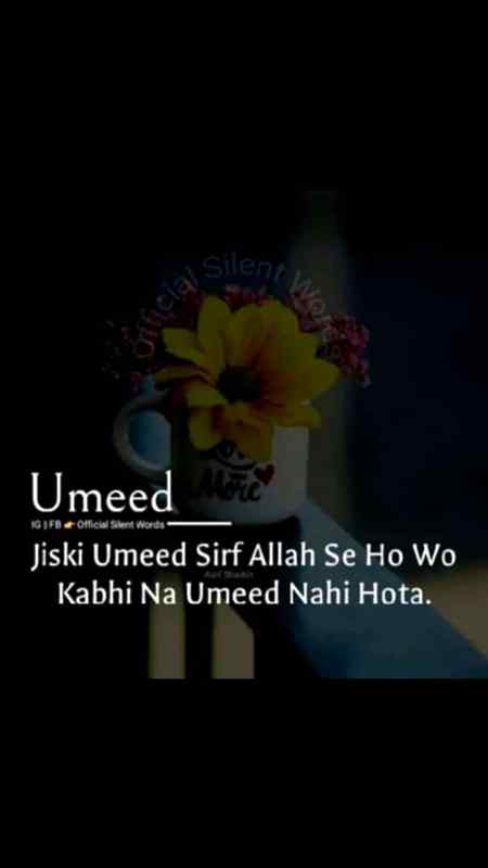 ALLAH.....❤