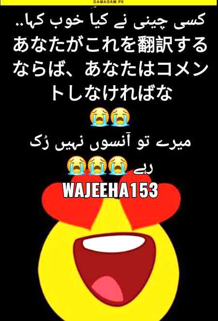 Wajeeha143 damadm.pk