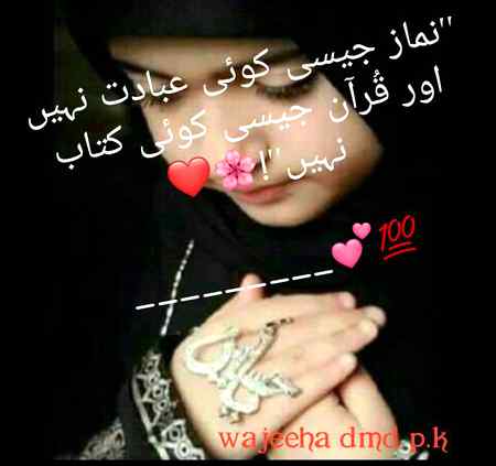 Bashak 👌🏻👌🏻👌🏻👌🏻