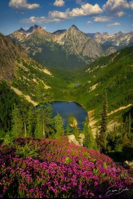 ✓  North Cascades National Park is a national park in the United States, located in the state of Washington.  📸Erwin Buske