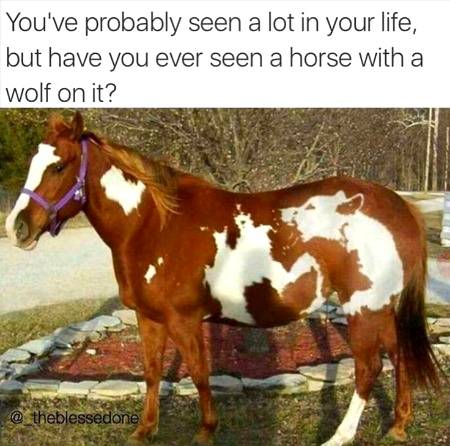 Wow 😳😳😳😳😳