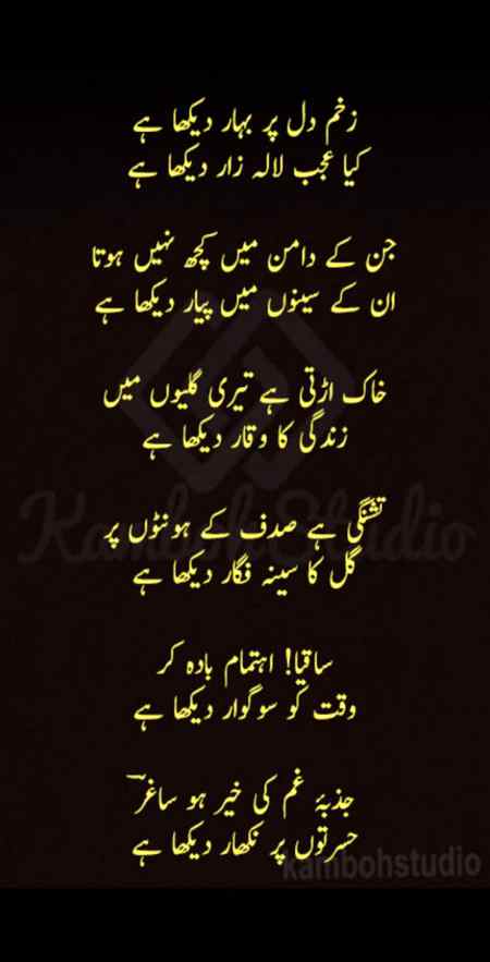 hlo friends