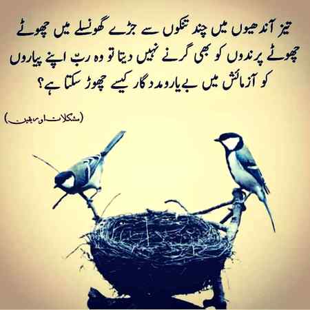 Beshak....right