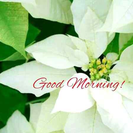 All have a nice day