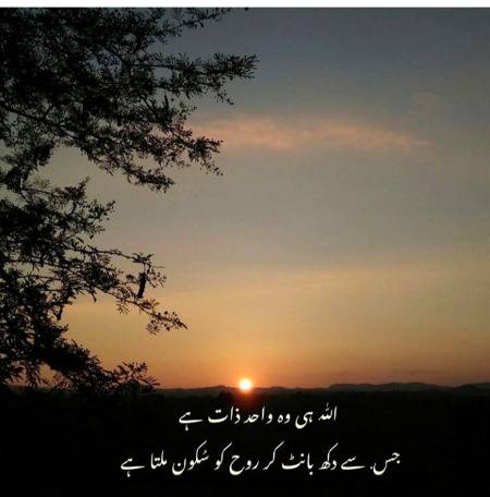 Beshak ...❤