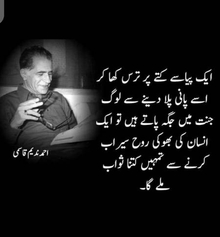 Hm great one🙂
