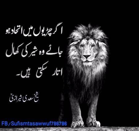 🌹🌹🌹صلی اللہ علی حبیبہ محمد نور من نوراللہ وعلی آلہ واہل بیتہ وعترتہ وازواجہ وصحبہ وجدہ وذریتہ و کل امتہ وبارک وسلم کثیراً کثیرا و دائماً ابدا 🌹🌹🌹